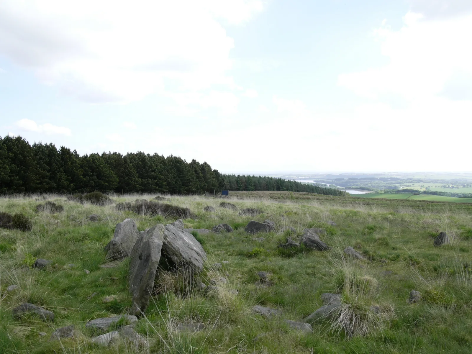 Pikestones